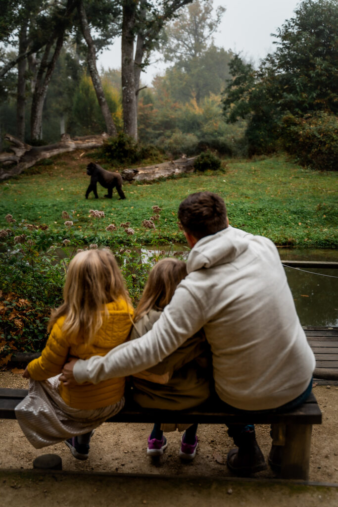 La Vienne Monkey Valley Kids