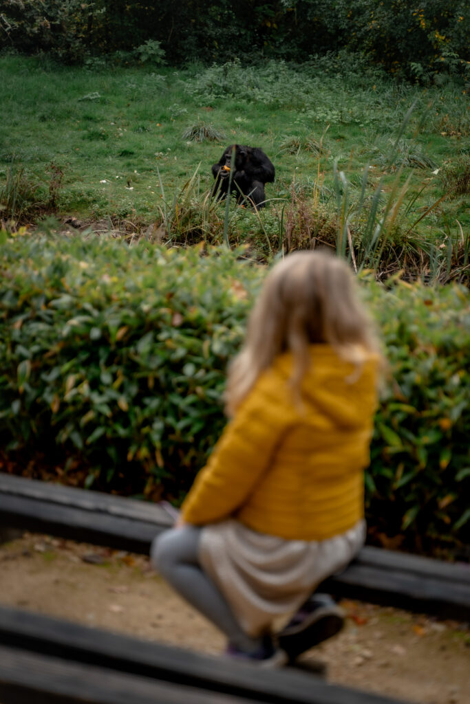 La Vienne The Monkey Villahe