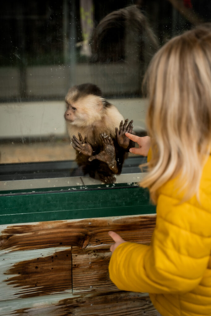 La Vienne La Vallée des Singes