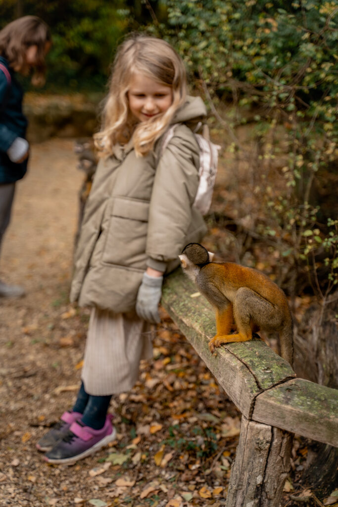 La Vienne Squirrel Monkeys Kids