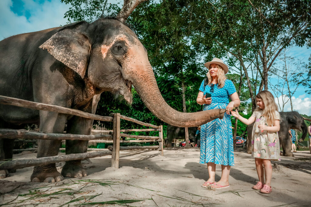 elephants sanctuary with kids